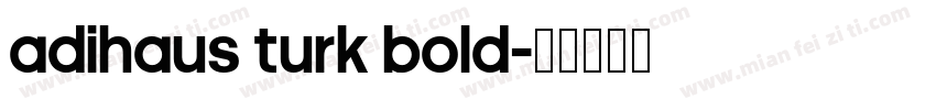 AdiHaus Turk Bold字体转换